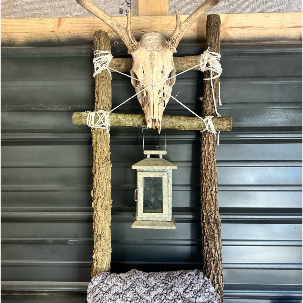 Old hunters backpack euro mount wall decoration